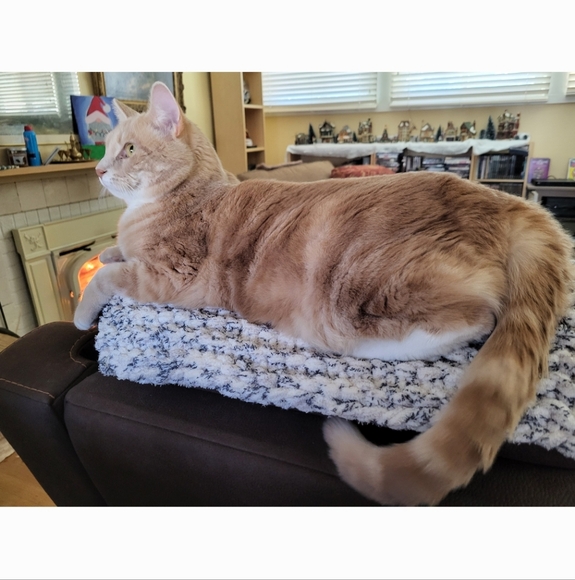 Hand-knit, machine washable and dryable pet pads, custom sizes - Picture 4 of 7